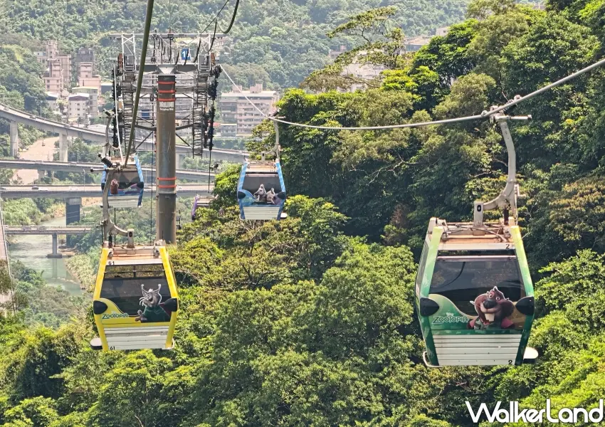 ▲高達百台的動物方城市主題彩繪車廂，成為今年暑假不可錯過的沉浸式打卡新熱點。(攝影：鄭雅之)