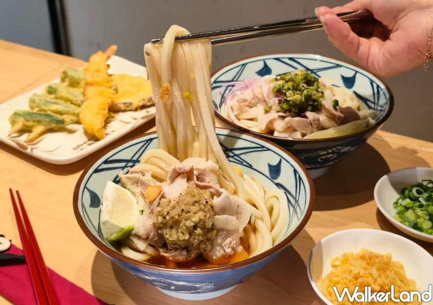 ▲「丸亀製麵」新鮮現做、充滿生命力的烏龍冷麵,吸附飽滿的爽口醬汁,讓許多烏龍麵控一吃就愛上。(攝影:鄭雅之)