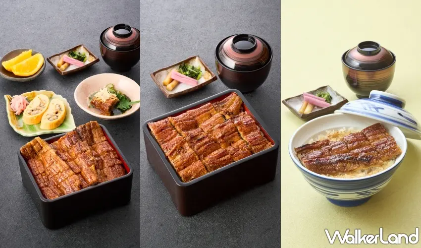 ▲店家提供多樣化的鰻魚套餐，滿足不同老饕的味蕾。圖／うなぎ處鰻天提供；窩客島編輯李維唐整理