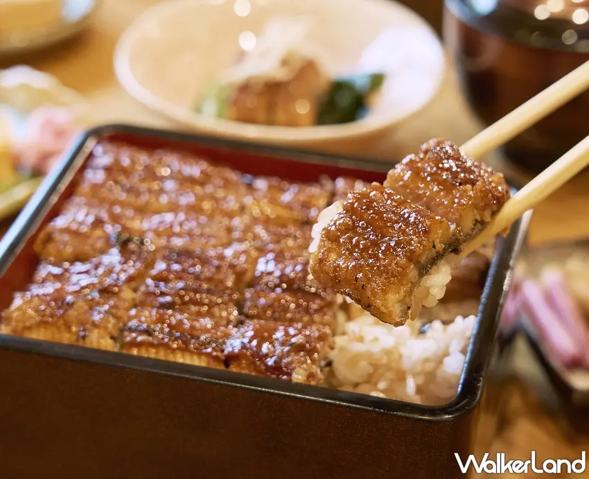 ▲酥脆的鰻魚皮搭配飽滿多汁的魚肉，每一口都是多層次的感官震撼。圖／うなぎ處鰻天提供；窩客島編輯李維唐整理