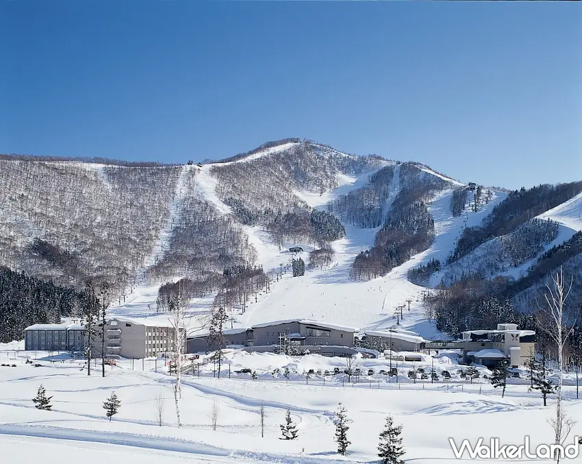 ▲雄獅2025冬季滑雪參團人數年增3成,推薦TANGRAM斑尾滑雪5日,每人50900元起。圖/雄獅旅遊提供;窩客島編輯李維唐整理