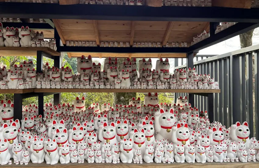 ▲舉著右手、不抱金幣、神情平靜的白貓,則是象徵福氣、良緣與人際和諧。