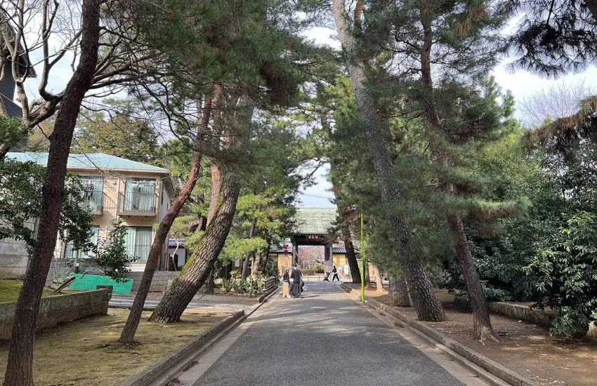 ▲穿越後可進入松樹與石道構成的參拜道。