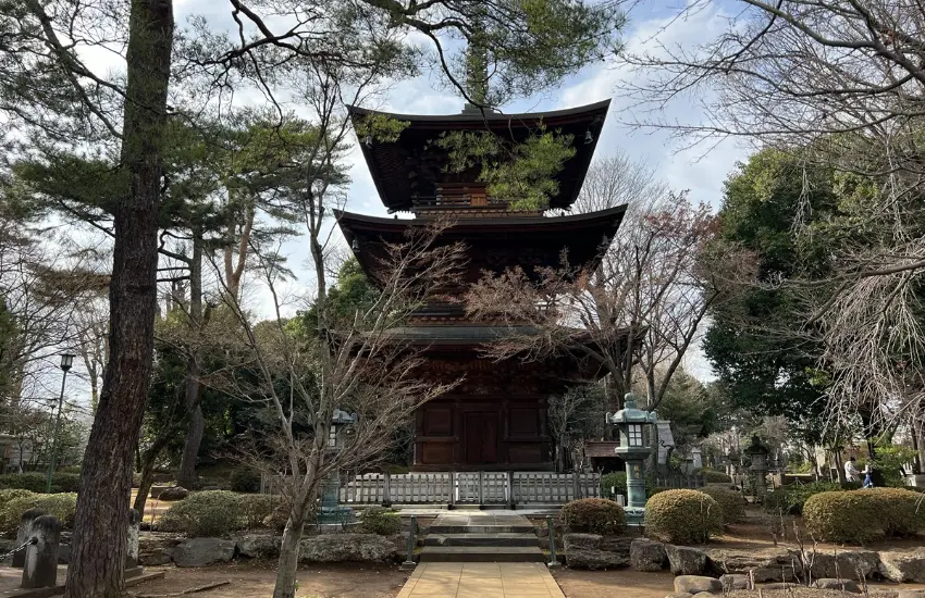 ▲豪德寺整體仍保留典型禪寺空間格局,包括山門、參道、佛殿、三重塔、書院與井伊家墓地等建築配置。