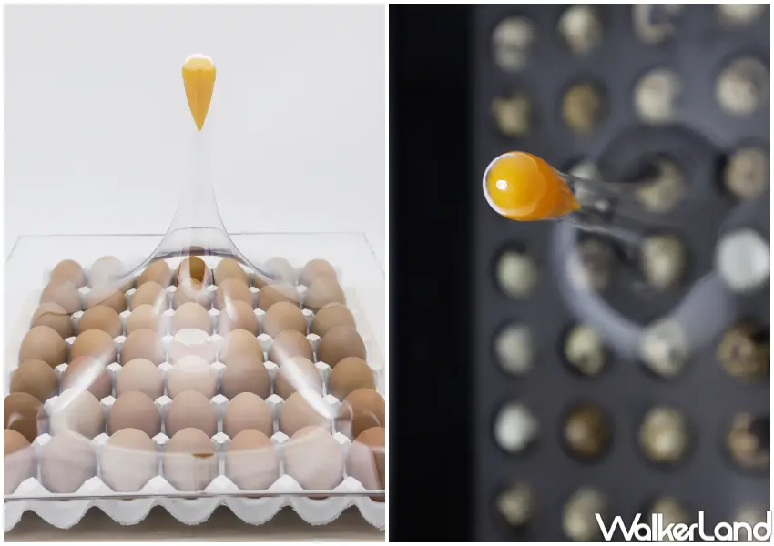 ▲逃離系列《Super Egg Pack》以定格蛋黃飛出的瞬間,隱喻現代人在體制中突圍的自由意志。