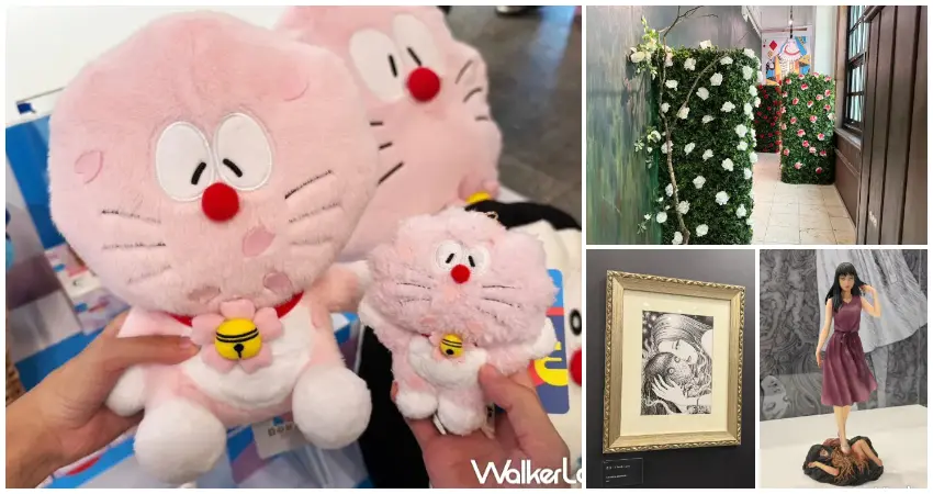 ▲2026暑假9大信義區展覽 松菸快閃店!松菸櫻花哆啦A夢、愛麗絲特展、伊藤潤二展必逛。