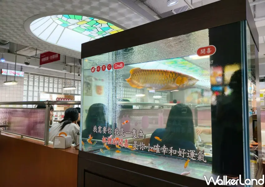 ▲詹記敦南店化身復古轉運KTV,店內魚缸貼上趣味伴唱字幕與歌詞,台味幽默感十足。(攝影:鄭雅之)