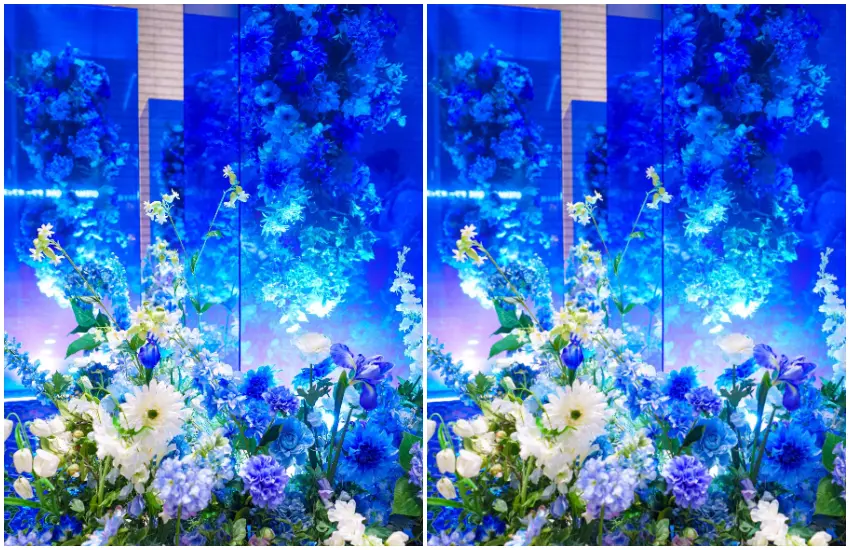 ▲一場將傳統日式神社「花手水」美學與現代光影藝術完美揉合的仲夏夜幻境,正悄悄點亮都心的夜空。