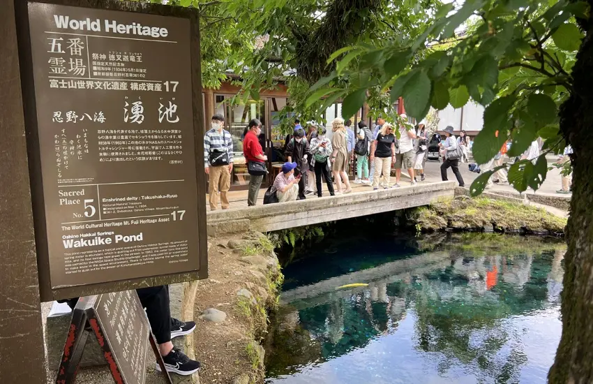 ▲擁有忍野八海之中最大的湧泉水量,是忍野八海最具代表性的池塘。