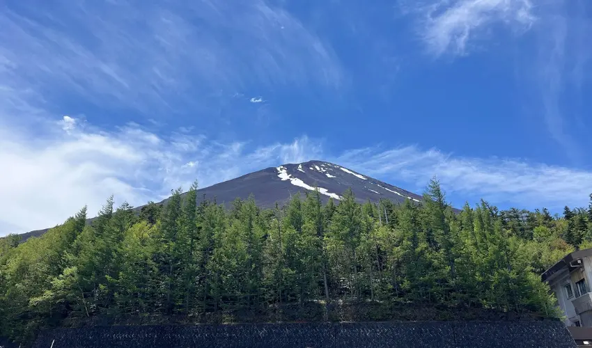 ▲帶著火山岩氣息的高山空氣混合森林木香,那是一種只有高山才有的味道。
