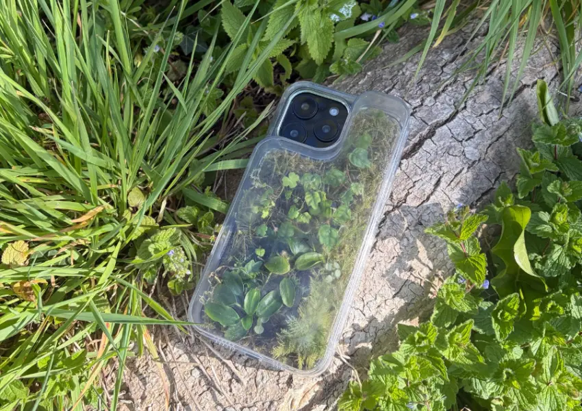 ▲殼內建「封閉式水分循環系統」，植物與土壤蒸發的水氣會在內壁凝結成水滴並重新落回。