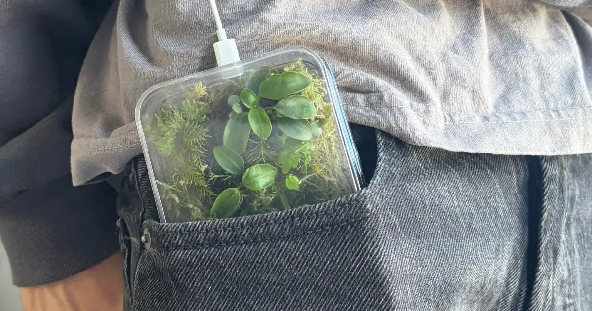 隨身攜帶的口袋綠洲！超療癒「微型森林手機殼」幫你數位排毒，連水滴凝結都美到像在呼吸。