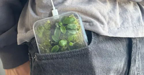 隨身攜帶的口袋綠洲！超療癒「微型森林手機殼」幫你數位排毒，連水滴凝結都美到像在呼吸。