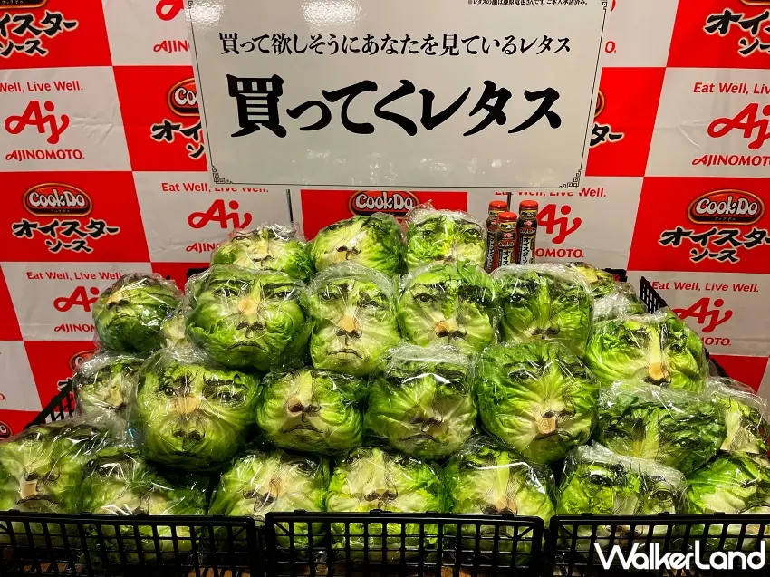 ▲日本超市賣場陳列擺滿1萬顆限量的藤原龍也特別包裝萵苣，畫面極具存在感與吸引力。 圖／味之素株式會社提供；窩客島編輯李維唐整理