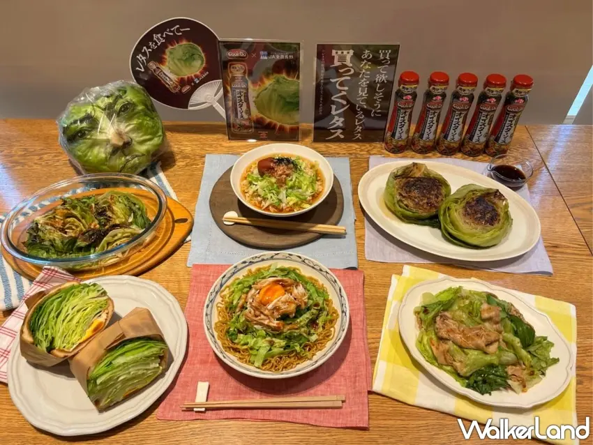 ▲味之素攜手JA全農長野公開7款以Cook Do®蠔油製作的「萵苣瞬間消滅食譜」料理集合。 圖／味之素株式會社提供；窩客島編輯李維唐整理