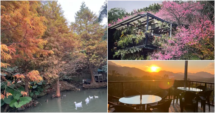 ▲座落於桃園市復興區,是一處結合景觀咖啡、自然生態與休閒體驗的山林園區。