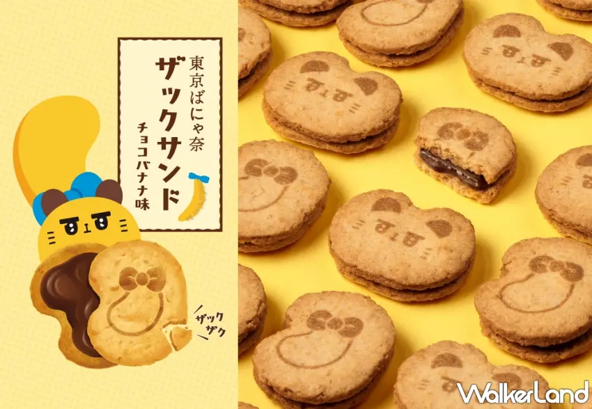 ▲全新登場的貓咪主題巧克力香蕉脆餅，酥脆餅乾夾入香濃牛奶巧克力內餡，造型可愛滿分。圖／東京芭娜娜提供；窩客島整理