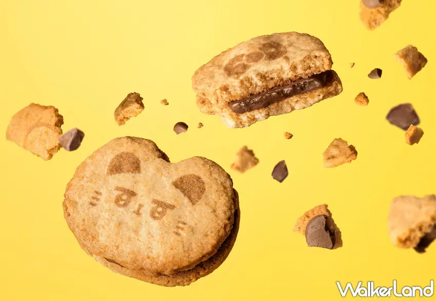 ▲貓咪巧克力香蕉脆餅剖面，可以看見飽滿的牛奶巧克力內餡與餅乾紮實酥脆的層次。圖／東京芭娜娜提供；窩客島整理