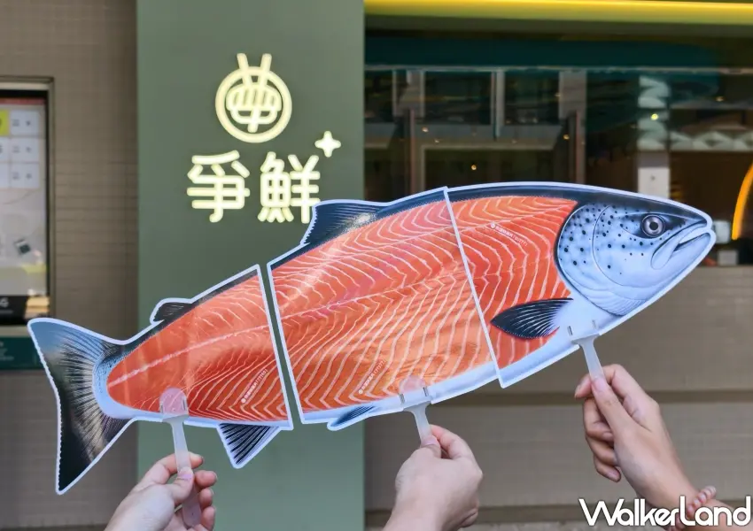 ▲爭鮮推出3款獵奇擬真鮭魚扇周邊,消費滿額即可獲得,背面還藏有專屬折扣碼彩蛋。(攝影:鄭雅之)