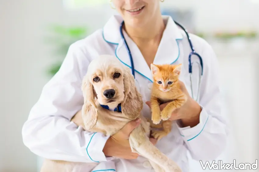 ▲幼齡時期是奠定貓犬免疫與生理發育的黃金關鍵期，每一個決策都深遠影響著牠們未來的生命品質。圖／法國皇家提供；窩客島編輯李維唐整理