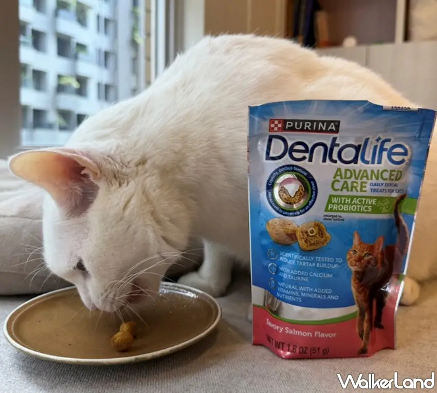 ▲雀巢全新推出「普瑞納 DENTALIFE 貓咪潔牙餅」，打造貓咪日常口腔保健新選擇。圖／台灣雀巢提供；窩客島編輯李維唐整理
