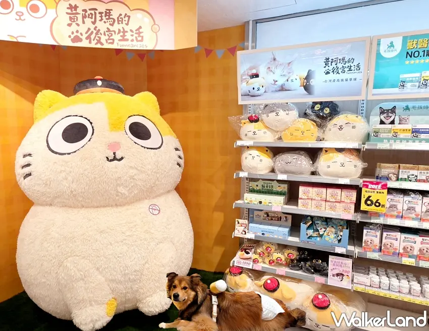 ▲2公尺高巨型毛絨黃阿瑪驚喜現身林森二店,邀請大小朋友與毛孩一起拍照打卡。 圖/寵物公園提供;窩客島編輯李維唐整理