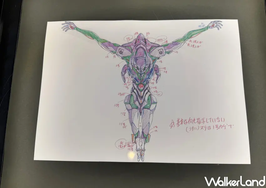 ▲新世紀福音戰士展覽台北站透過豐富的原畫、線稿展示,帶粉絲直擊創作者反覆推敲的動畫創作歷程。(攝影:鄭亦庭)