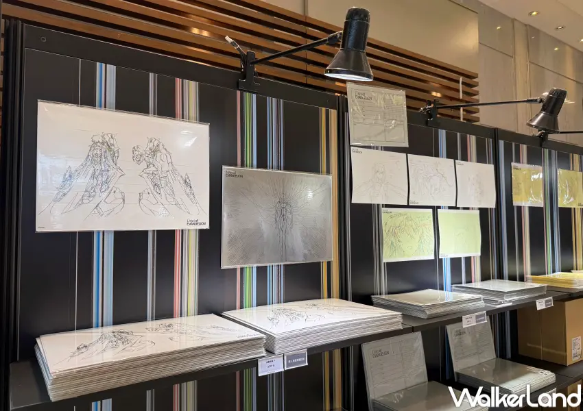 ▲新世紀福音戰士展覽限定周邊推薦!原畫與線稿系列明信片、文件夾、壓克力板畫等。(攝影:鄭亦庭)