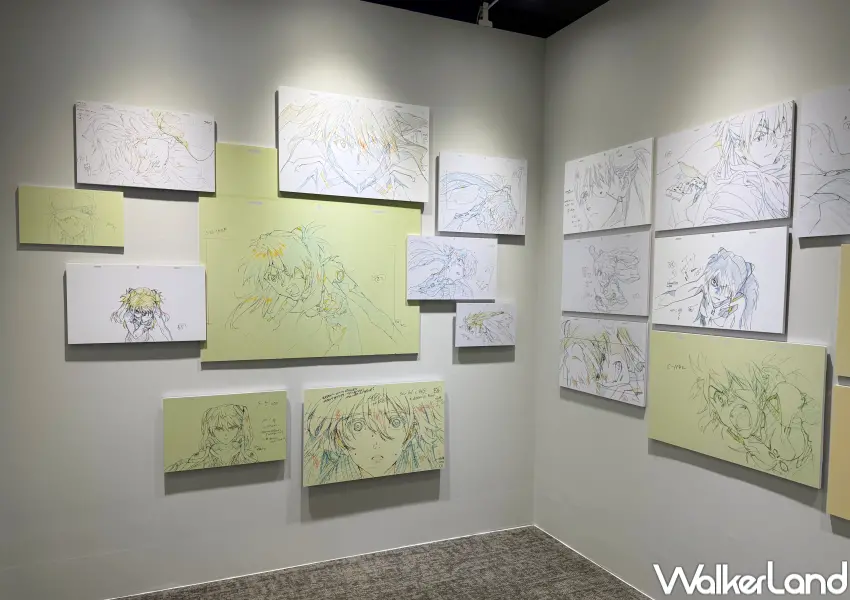 ▲信義區新世紀福音戰士展以「線」為主題,大型原畫展區以真嗣、零、明日香、真理、薰劃分。(攝影:鄭亦庭)