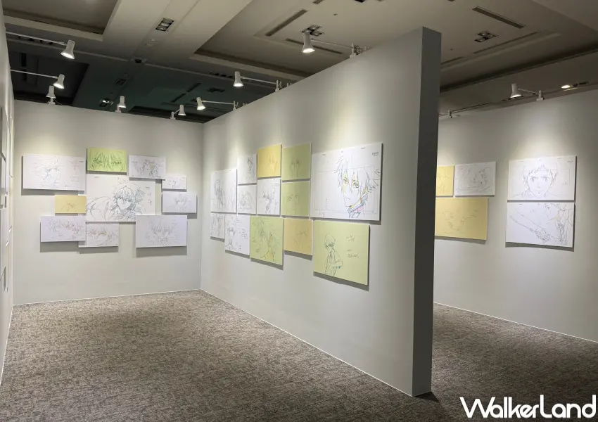 ▲信義區新世紀福音戰士展以「線」為主題,大型原畫展區以真嗣、零、明日香、真理、薰劃分。(攝影:鄭亦庭)