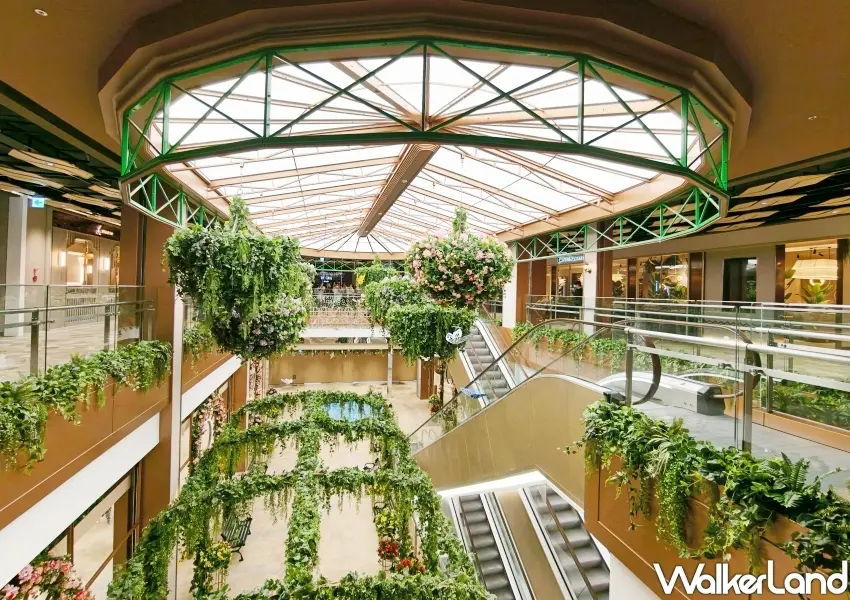 ▲▲莫內花園天井設計引入明亮採光，垂吊花草與造景長廊吸引無數民眾拍照打卡。(攝影：鄭雅之)