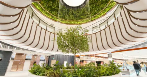 不花錢逛大巨蛋Garden City！5個免費打卡點「台北101夜景、8尺香水噴泉」帶你拍。