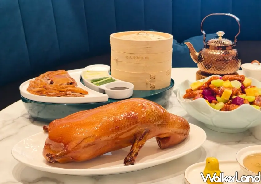 ▲信義區聚餐首選樂天皇朝 Signature 旗艦店,主打琥珀脆皮烤鴨一鴨三吃,嚴選櫻桃鴨打造皮酥肉嫩當代京式風味。(攝影:鄭雅之)