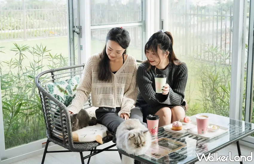 ▲前往黑RURU CAFÉ,與可愛笑笑羊近距離互動並品嚐雙人下午茶。 圖/宜蘭綠舞國際觀光飯店提供;窩客島編輯李維唐整理