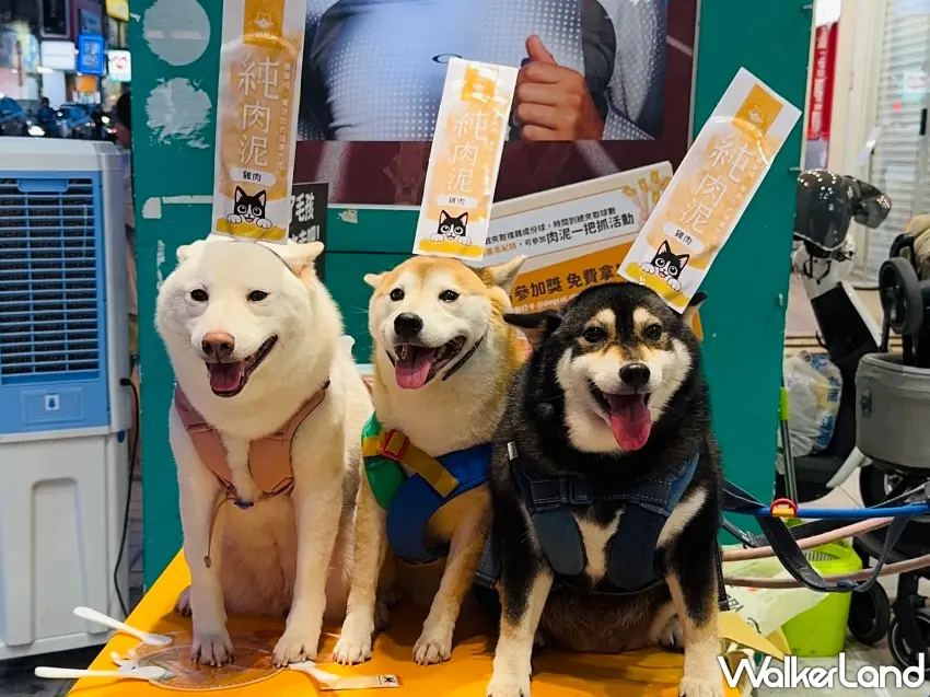 ▲許多飼主熱情帶毛孩到場體驗快閃活動並開心試吃汪喵星球純肉泥,成為夜市街頭最吸睛可愛的熱門焦點。圖/汪喵星球提供;窩客島編輯李維唐整理