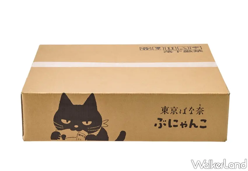 ▲一手即可輕鬆掌握的東京芭娜娜黑貓臉型收納小包實體大小。圖／株式会社グレープストーン提供；窩客島編輯李維唐整理