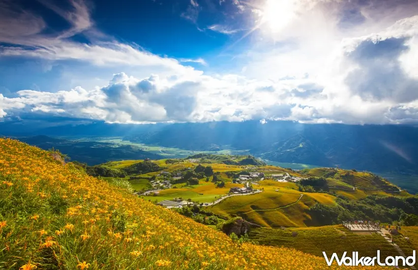 ▲洄瀾山谷金針花旅帶領旅客走進赤科山金色花海,串聯花東縱谷景點與地方產業,從季節風景深入認識花蓮土地。圖/花蓮理想大地渡假飯店提供;窩客島編輯李維唐整理