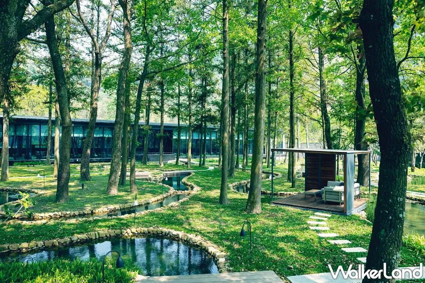 ▲充滿高聳樹木與蜿蜒水道的水之庭園,營造出遠離塵囂的森林秘境感。 圖/虹夕諾雅 谷關提供;窩客島編輯李維唐整理