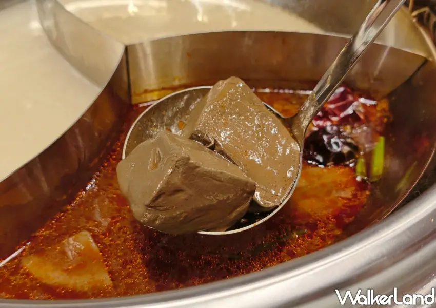 ▲吸滿湯汁精華的果凍鴨血滑嫩無比,是老饕念念不忘的麻神經典必吃款。(攝影:鄭雅之)