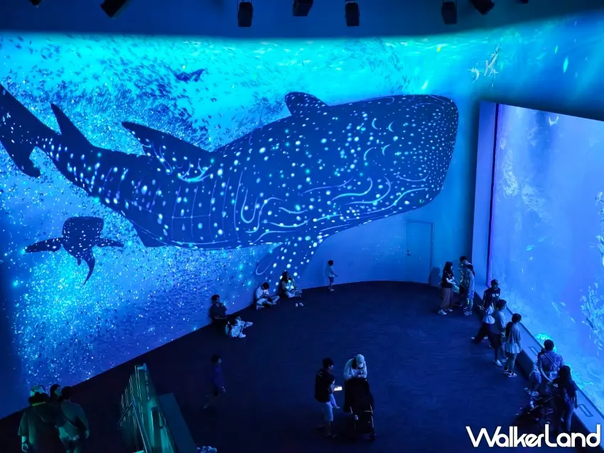 ▲台中海洋館沉浸式巨幅光影投影展示震撼視覺效果。圖/台中海洋館提供;窩客島編輯李維唐整理
