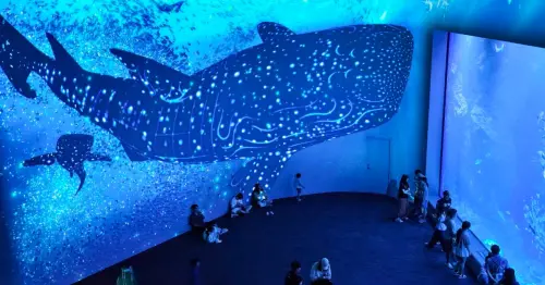 台中海洋館中秋大請客！清水梧棲限定1,400張免費門票9月9日搶先預約