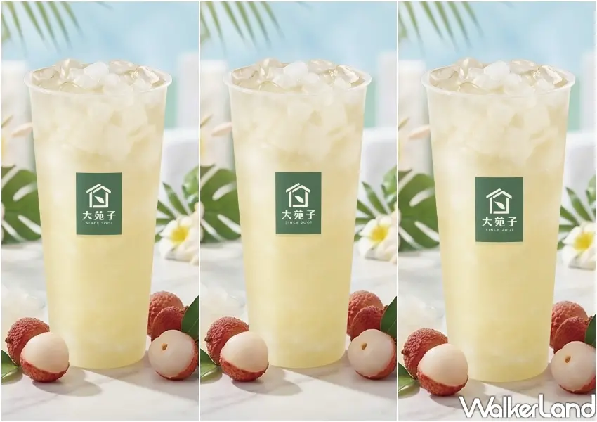 ▲咀嚼系手搖飲必喝「荔枝椰椰」,濃郁荔枝果香結合翡翠綠茶與Q彈椰果,帶來多重豐富口感。