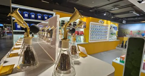 台北車站這家茶包選物店太好逛！High Tea把世界茶品博物館搬進百貨，冷泡氣泡茶與靜岡抹茶必收