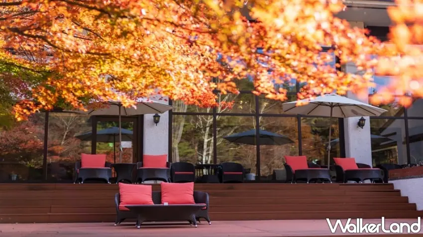 ▲「八岳風花飯店」戶外露臺楓紅似火,旅客可一覽壯麗八岳山景。圖/Rakuten 樂天旅遊提供;窩客島編輯李維唐整理