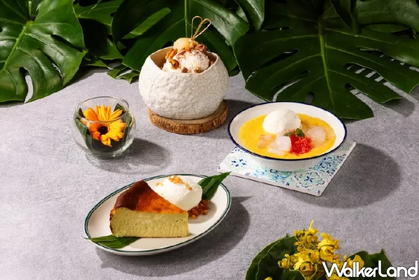 ▲Chatterbox Café 推出多款精緻南洋特色甜點，包含招牌椰子冰淇淋、楊枝甘露與香蘭巴斯克蛋糕，為道地星洲饗宴畫下完美句點。