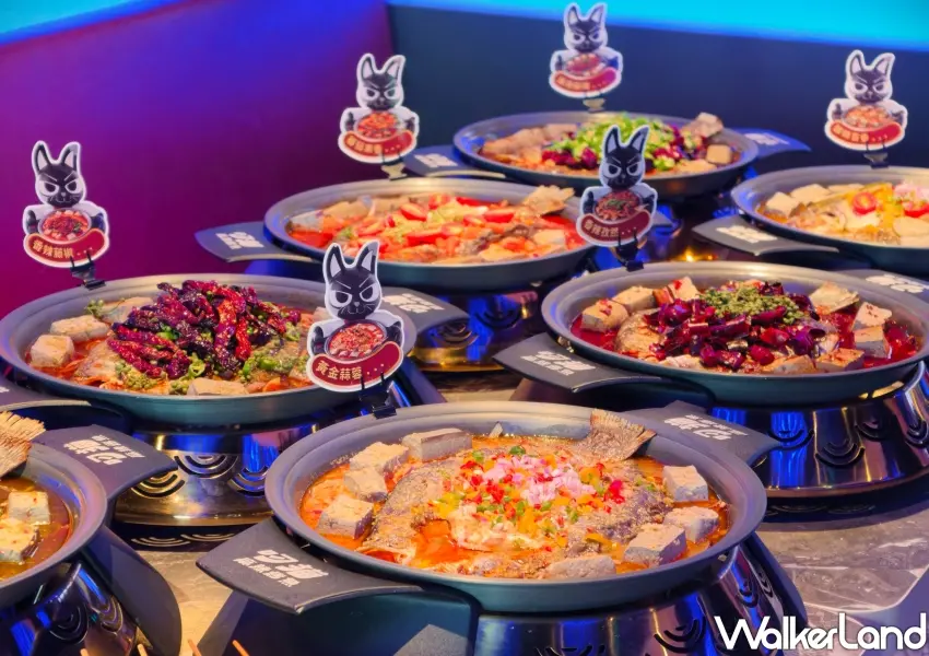 ▲叼貓麻辣烤魚一次推出7種靈魂湯頭風味,無論是重口味愛好者還是不吃辣的顧客,都能找到最適合自己的烤魚風味。(攝影:鄭雅之)