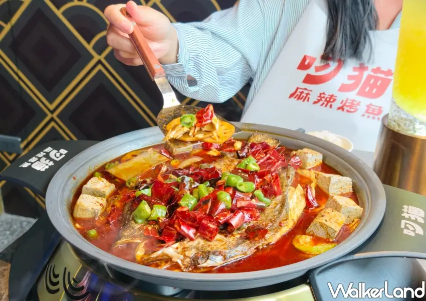 ▲吸滿川味麻辣湯頭精華的特製豆腐,口感綿密入味,是品嚐麻辣烤魚時不可或缺的絕配。(攝影:鄭雅之)