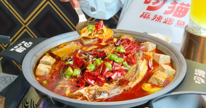 信義區宵夜加一！ATT叼貓麻辣烤魚5折優惠、菜單先看，白飯、水果冰吃到飽