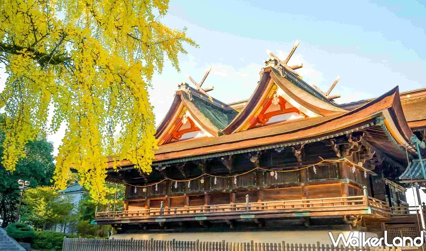 ▲滿地金黃色銀杏落葉鋪成的天然地毯,襯托著古色古香的國寶級神社建築,走在這裡隨手一拍都是浪漫破表的絕美風景。圖/岡山市台灣推廣事務所提供;窩客島整理