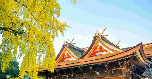 機票補助直奔桃太郎故鄉！岡山市住宿祭攜手易遊網爽領3,000元，加碼抽20組豪華大禮包